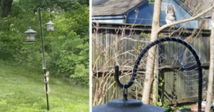 People Are Using Slinkies To Keep The Squirrels Away From Their Bird Feeders And It’s Hilariously Awesome