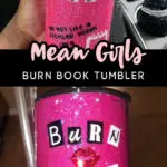 Mean Girls Metal Tumbler Mean Girls Cup Personalized Burn Book Tumbler  Customized Tumbler Reusable Cup Epoxy Tumbler Mean Girls -  Finland