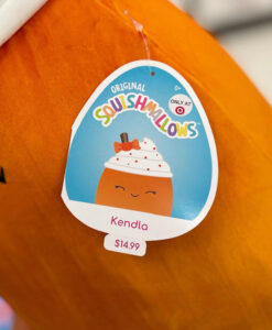 spice latte squishmallow