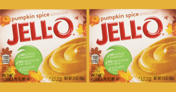 Pumpkin Spice Pudding Exists, Because Of Course It Does