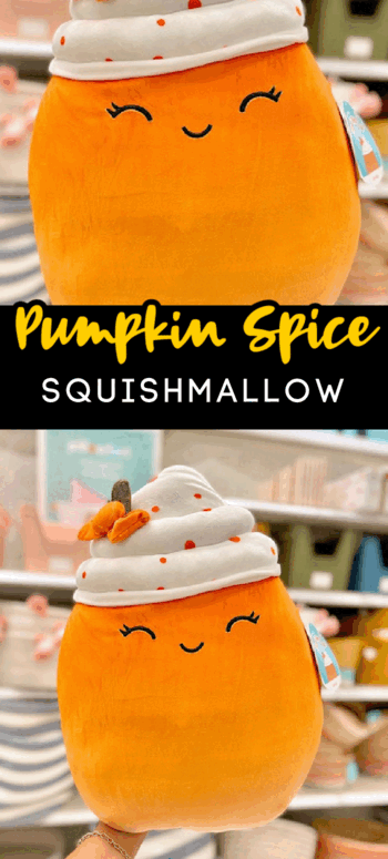 pumpkin spice squishmallow dpci