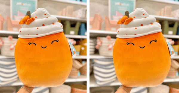 Target Is Selling A Limited Edition Pumpkin Spice Latte Squishmallow And I Need It