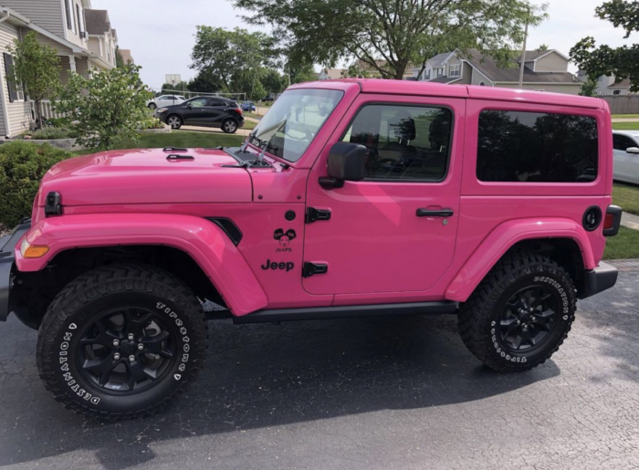 Made a pink bobble head nessy for my jeep! Inspo being the