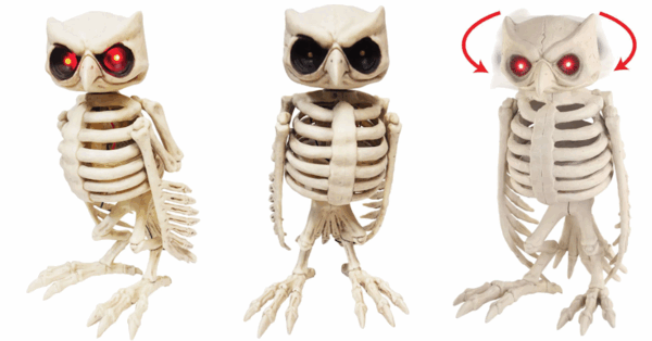 This Wicked Cool Animated Skeleton Owl Is The Perfect Addition To Your Haunted Collection