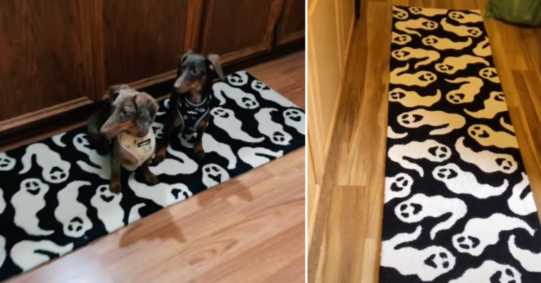 Everyone Is Obsessed With This Ghost Rug That Went Viral. Here’s Where You Can Get One.