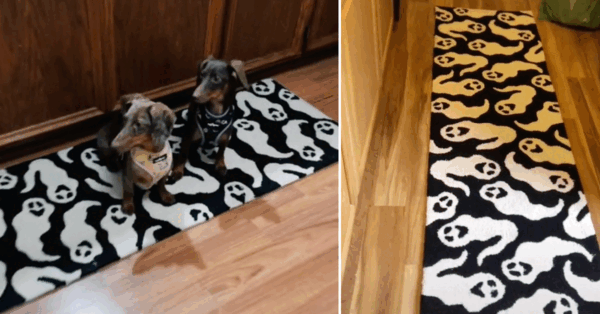 Everyone Is Obsessed With This Ghost Rug That Went Viral. Here’s Where You Can Get One.