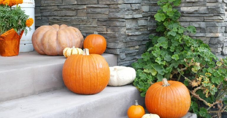 You Can Use Petroleum Jelly To Keep Your Pumpkins From Rotting This ...