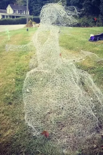 The Chicken Wire Lady