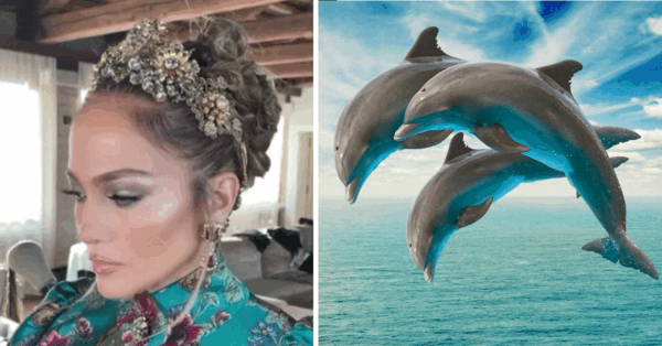 ‘Dolphin Skin’ Is The New Beauty Trend And Here Is How You Get It