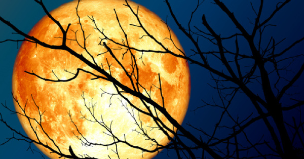 You’ll Be Able to See September’s Full Harvest Moon Next Week. Here’s How.
