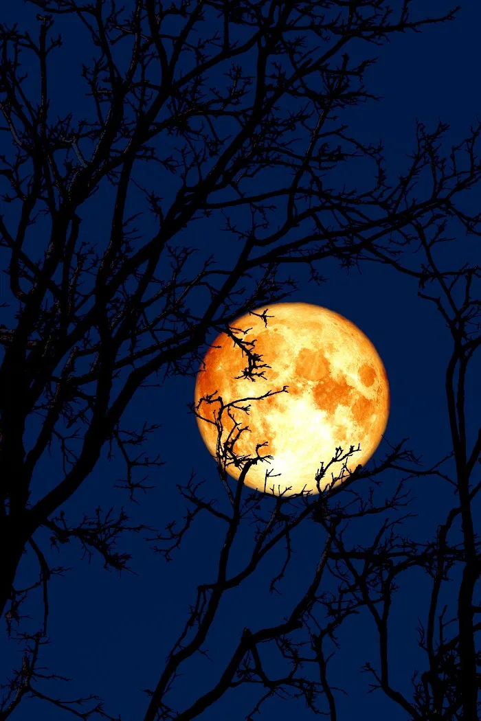 Is there a full moon tonight? How to see the beaver moon