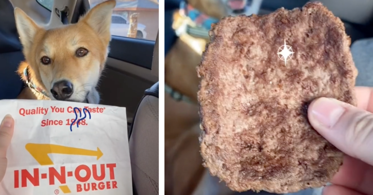 In-N-Out Has a Secret Pet Menu So Your Dogs Can Eat With You On the Go