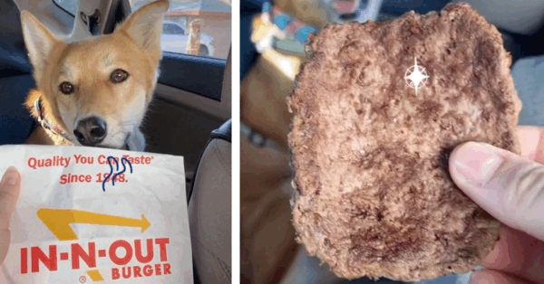 In-N-Out Has a Secret Pet Menu So Your Dogs Can Eat With You On the Go