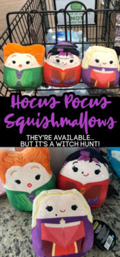 hocus pocus squish mellows