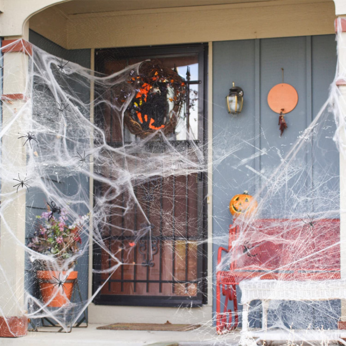 Turns Out, The Way You Clean May Be Accidentally Inviting Spiders Into ...