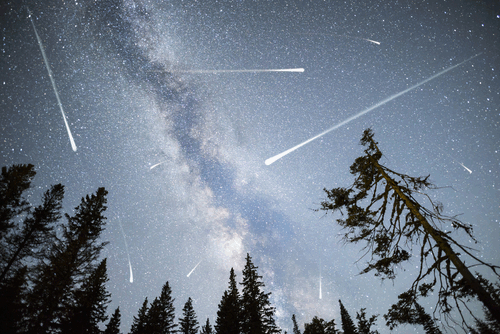 There Will Be 3 Meteor Showers in November. Here’s How You Can Watch Them.
