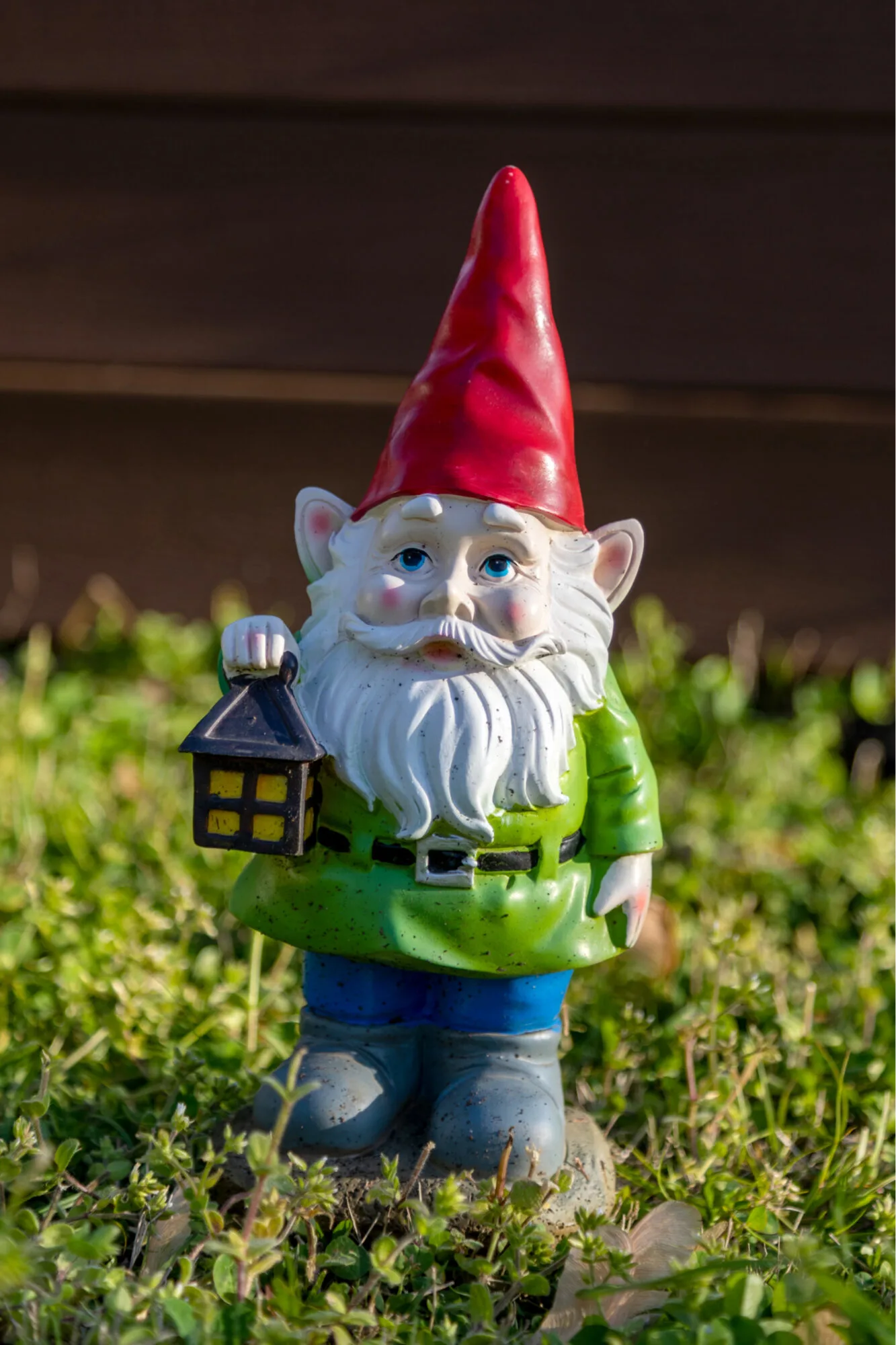 https://cdn.totallythebomb.com/wp-content/uploads/2021/10/Gnome-Shakers-1-1333x2000.jpg.webp