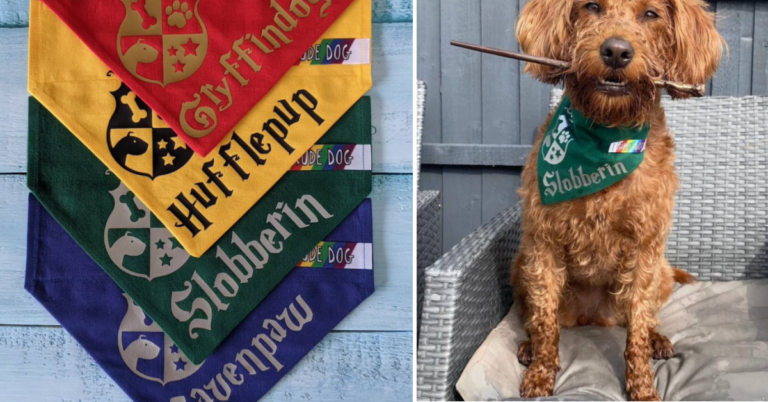 You Can Get A Harry Potter Bandana For Your Pet So They Can Be Sorted Into Their Hogwarts House