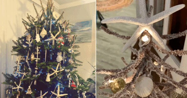 Here’s How You Can Dress Your Christmas Tree If You Live Where It’s Warm During the Holidays