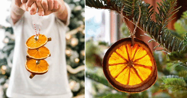 People Are Drying Out Orange Slices to Hang Around Their Home for the Holidays. Here’s How to Do It.