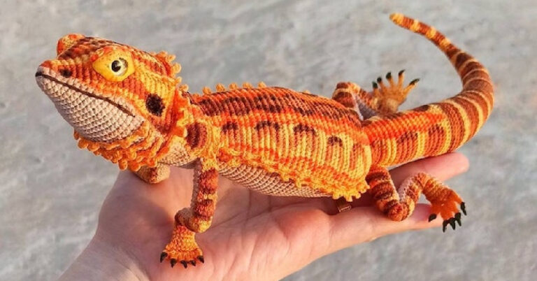 You Can Crochet A Realistic Bearded Dragon And I Must Have One!