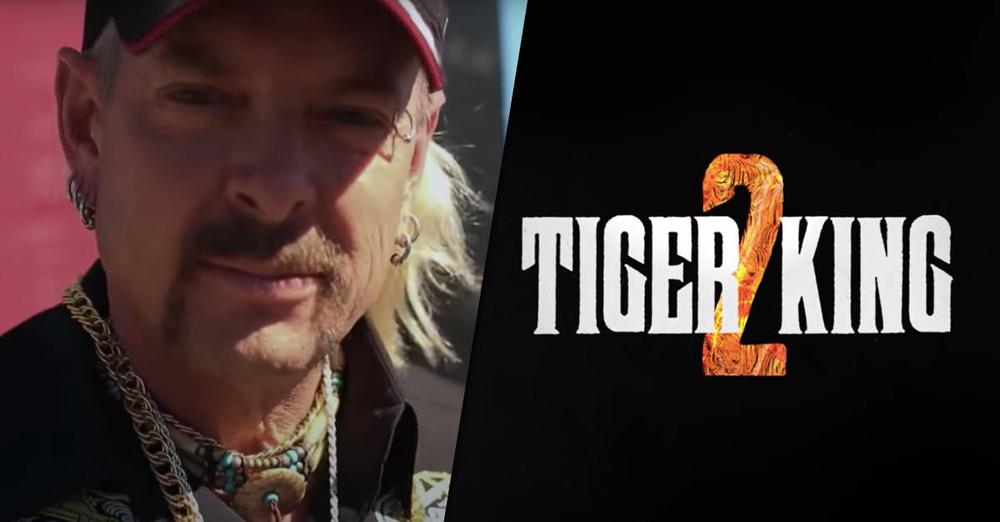Netflix Just Dropped The Trailer For ‘Tiger King’ Season 2 and You’re In For Another Wild Ride