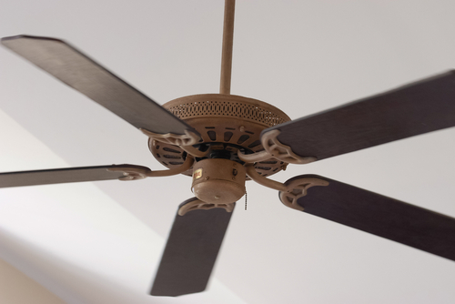 Direction Your Ceiling Fan Spins, Ceiling Fan Moves In Which Direction