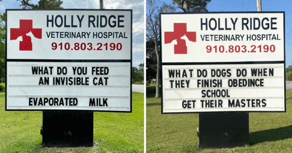 This Vet Hospital Brings The Best Dad Jokes Every Single Week So Get Ready To Chuckle