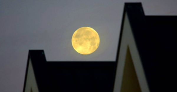 There Will Be a Lunar Eclipse and a Full Beaver Moon This Month. Here’s How To Watch It.