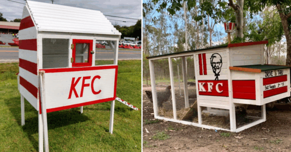 People Are Building Chicken Coops That Look Exactly Like KFC Restaurants