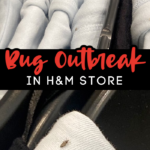 An H&M Store in NYC Closes After Employee Shares Photo Showing Bugs on  Clothing