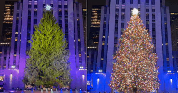 The Rockefeller Christmas Tree Has Been Lit and It’s Stunning To See