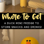 This Duck Shaped Mini Fridge Is The Cutest Way To Store Your Favorite  Snacks and Drinks