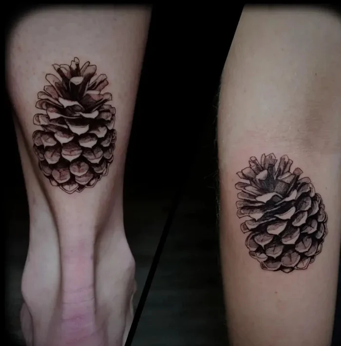 Wonderful Black Ink Pine Cone Tattoo Design