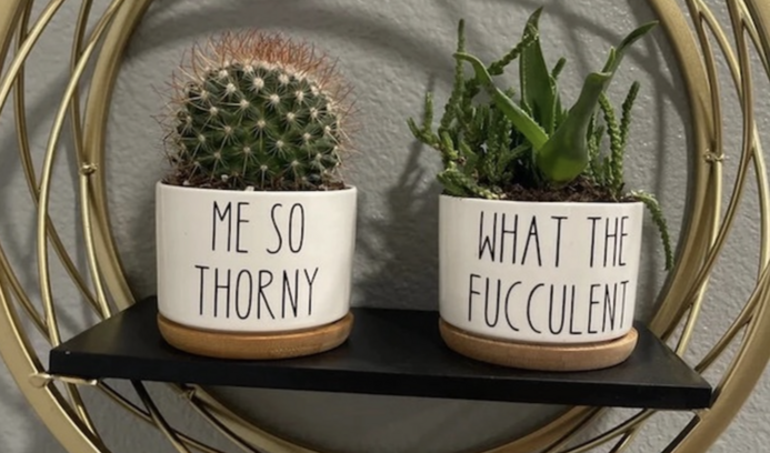 These Succulent Pots Have Funny Sayings On Them And They Are Here to Make Your Day