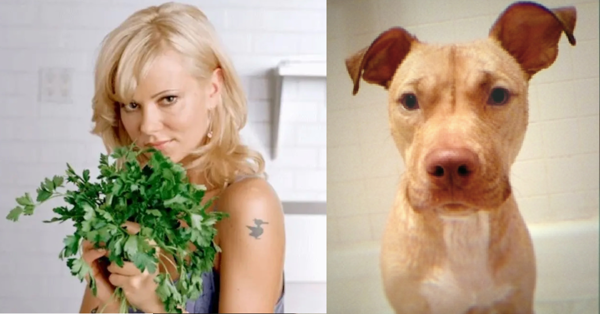 Netflix’s New Series Is About A Vegan Restaurant Owner Tricked Into Believing Her Dog Could Become Immortal