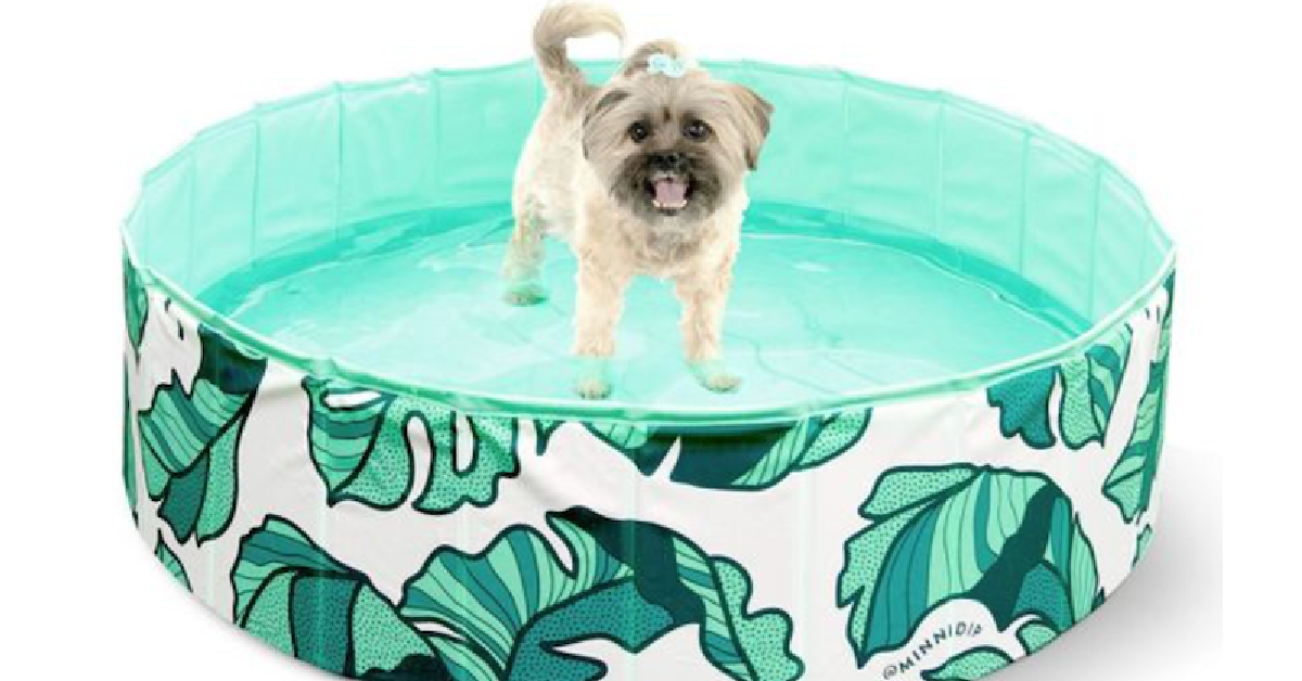 Target Releases Dog Pools That are Perfect For Pool Paw-ties