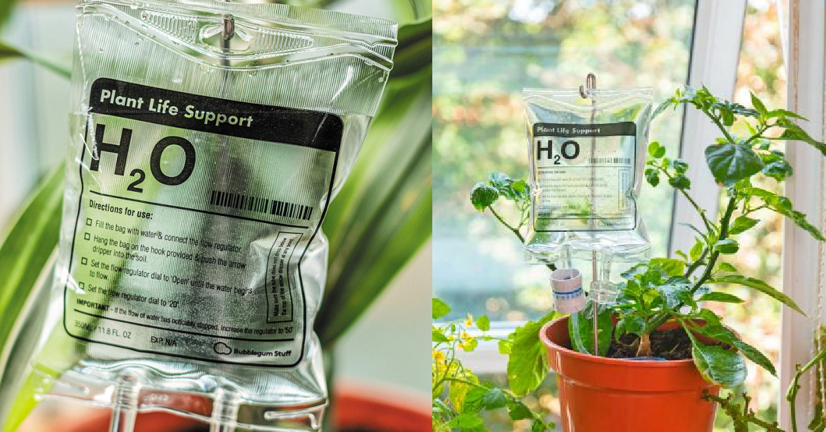 These Plant IV Water Bags Are Perfect For The Person Who Kills All Their Plants