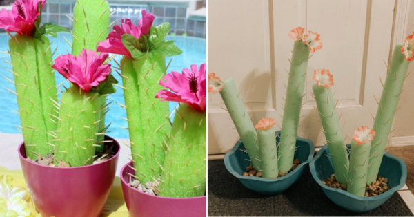 People Are Making Cactuses Out of Pool Noodles. Here’s How You Can Too.