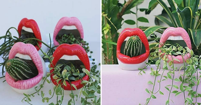 You Can Get Lip Planters For Your Succulents and They Are Adorable
