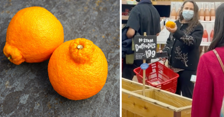 Sumo Oranges Are Going Viral On TikTok Right Now. Here’s Why.