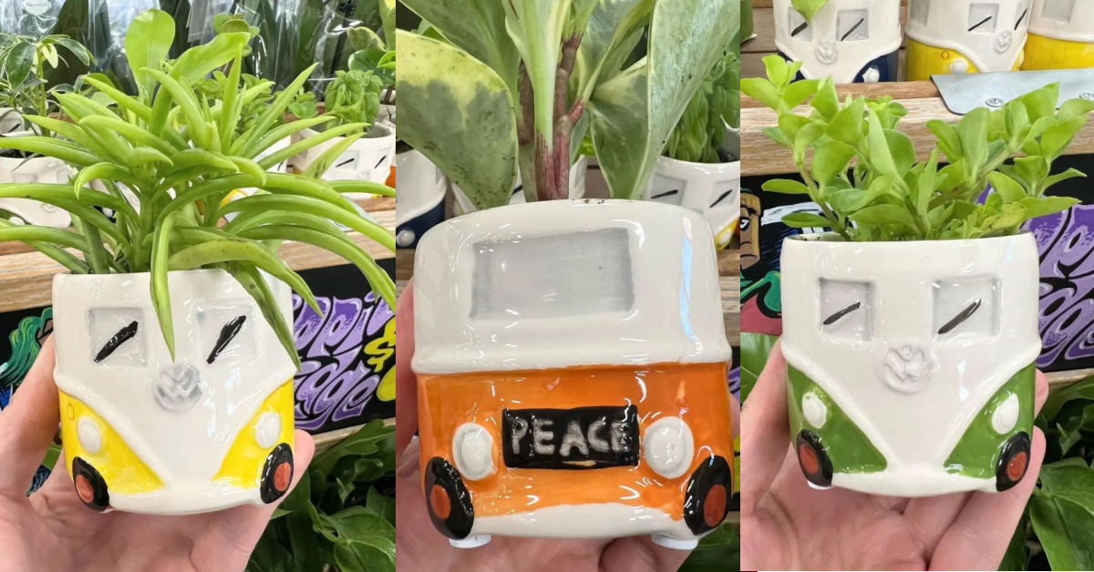 Trader Joes Is Selling $6 Mini VW Bus Planters and I Want Them All