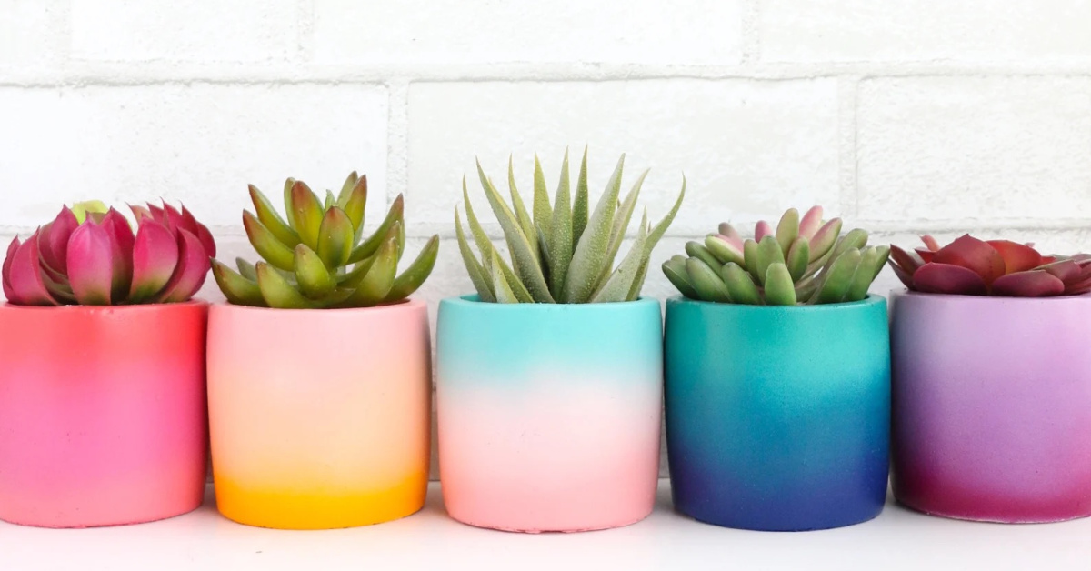 These Colorful Gradient Planters Are The Pop Of Color You Need