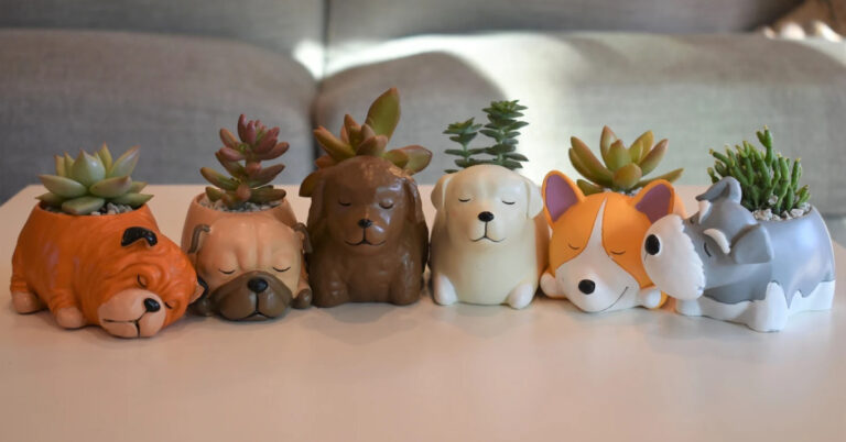 These Dog Succulent Pots Are Perfect For The Dog Lover In Your Life