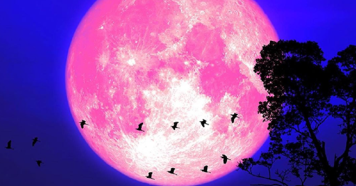 Here Is Everything You Need To Know About April’s Full Pink Moon