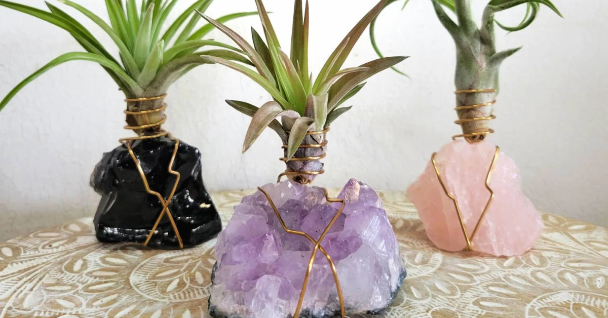 You Can Get Crystal Air Plant Holders That Bring an Entire Vibe into Your Home