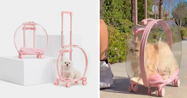 You Can Get A Rolling Pet Carrier For The Pet That Likes To Ride In Style