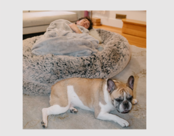 Get yours now before it's too late 🤩 #fyp #humandogbed #dogbed #nap #