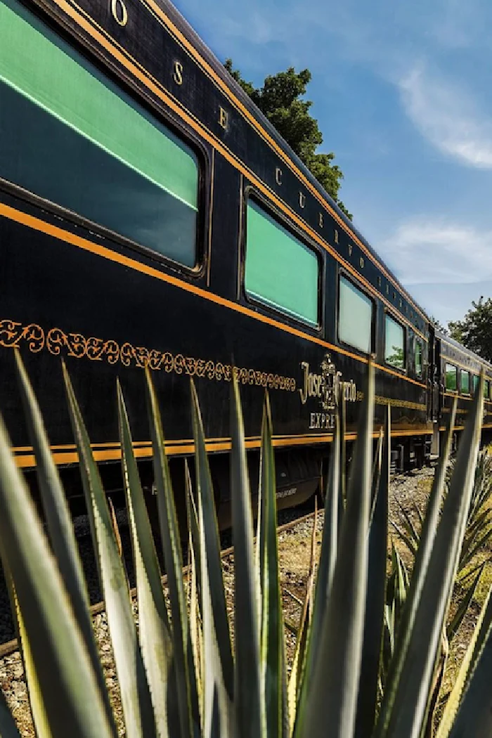 Tequila Lovers, There's An All-You-Can-Drink Jose Cuervo Express Train and  I'm On My Way