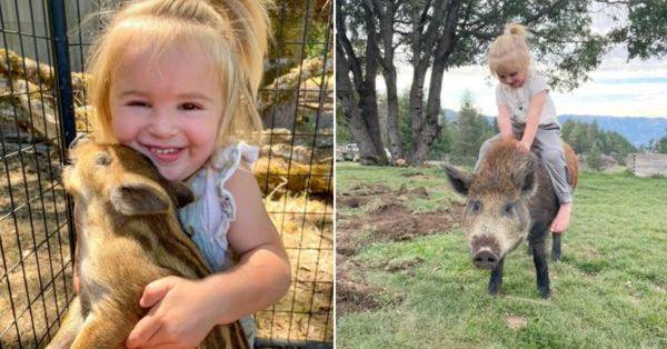 This Toddler Is Best Friends With a Pig and It’s the Cutest Thing on The Internet